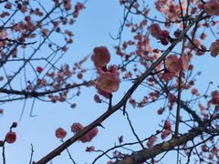 -白塘生态植物园