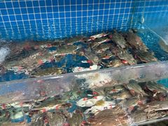 -前王院•巧克力海鲜市集餐厅(万平口店)