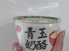 -青玉酸奶青海老酸奶、甜醅子