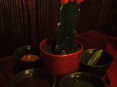 蘸酱-Pistolera Mexican Cantina女枪手墨西哥餐厅(碧云路店)