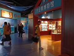 -海合安武汉极地海洋公园