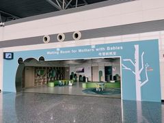 -石家庄正定国际机场-T2航站楼