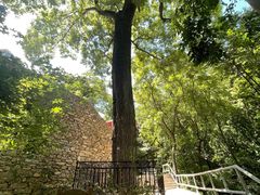 -北京上方山国家森林公园