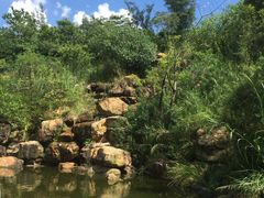 -广东花都湖国家湿地公园
