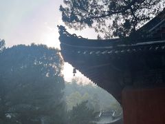 -天台山琼台仙谷景区