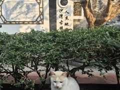 -沁芳园(沙湾总店)