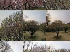 -北京明城墙遗址公园