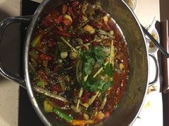 靓蛙馆-靓蛙馆