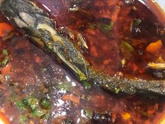 -白水河冷锅鱼