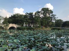 -惠州西湖丰渚园
