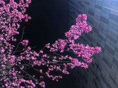-新梦百货(民族店)
