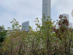 -九龙公园