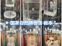 -国家自然博物馆