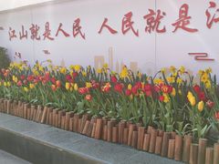 -苏州公园(双塔街道)