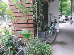 -猫里有甜