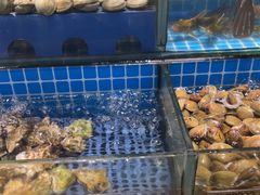 -鹿客臻鲜海鲜自助餐厅(永旺店)