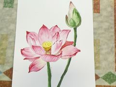 -八哥美术·成人美术画室(总校区)