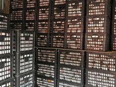 -胡家庙水果批发市场