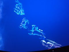 -芜湖方特东方神画