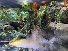 -上海海洋水族馆