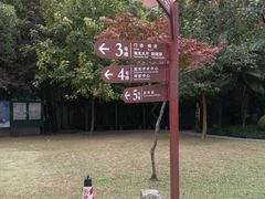 -上海市眼病防治中心(康定路院区)