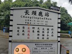 -深圳野生动物园