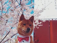 -龙美术馆(西岸馆)