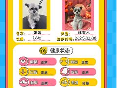 -BABIT巴比特宠物(MOMOPARK店)