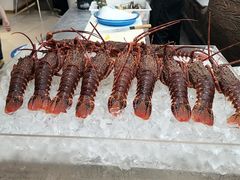 -半岛听涛蒸汽海鲜自助(K11店)