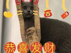 -北京南站-立体停车场