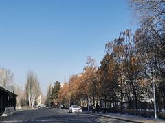 -黑龙江大学