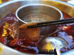 -金鼎雪山牦牛杂火锅(理县总店)