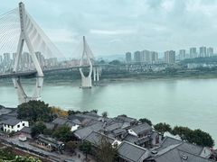 -大渡口区义渡公园