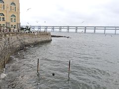 -黑石礁公园