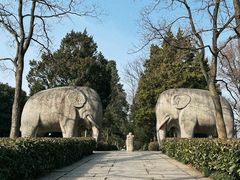-灵谷景区