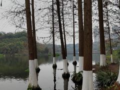 -重庆彩云湖湿地公园