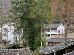-泽雅景区
