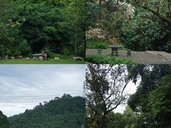 -黄埔油麻山森林公园