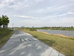 -春花秋色城市公园