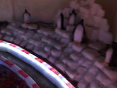 -白鹿仓冰雪海洋世界
