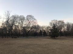 -望湖公园