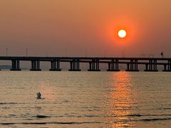 -宝安西湾红树林湿地公园