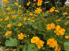 -中国科学技术馆影院