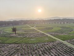 -苏州太湖西山岛开心农场