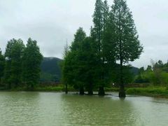 -云和湖仙宫景区