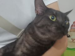 -瑞鹏宠物医院·爱宠堂·骨外专科(西荷分院)