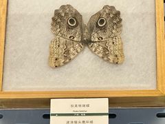-浙江自然博物院(杭州馆)
