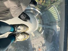 -东方明珠广播电视塔