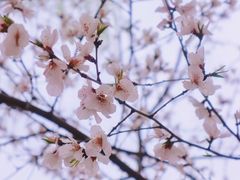 -三里河公园