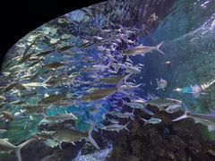 -长沙海底世界